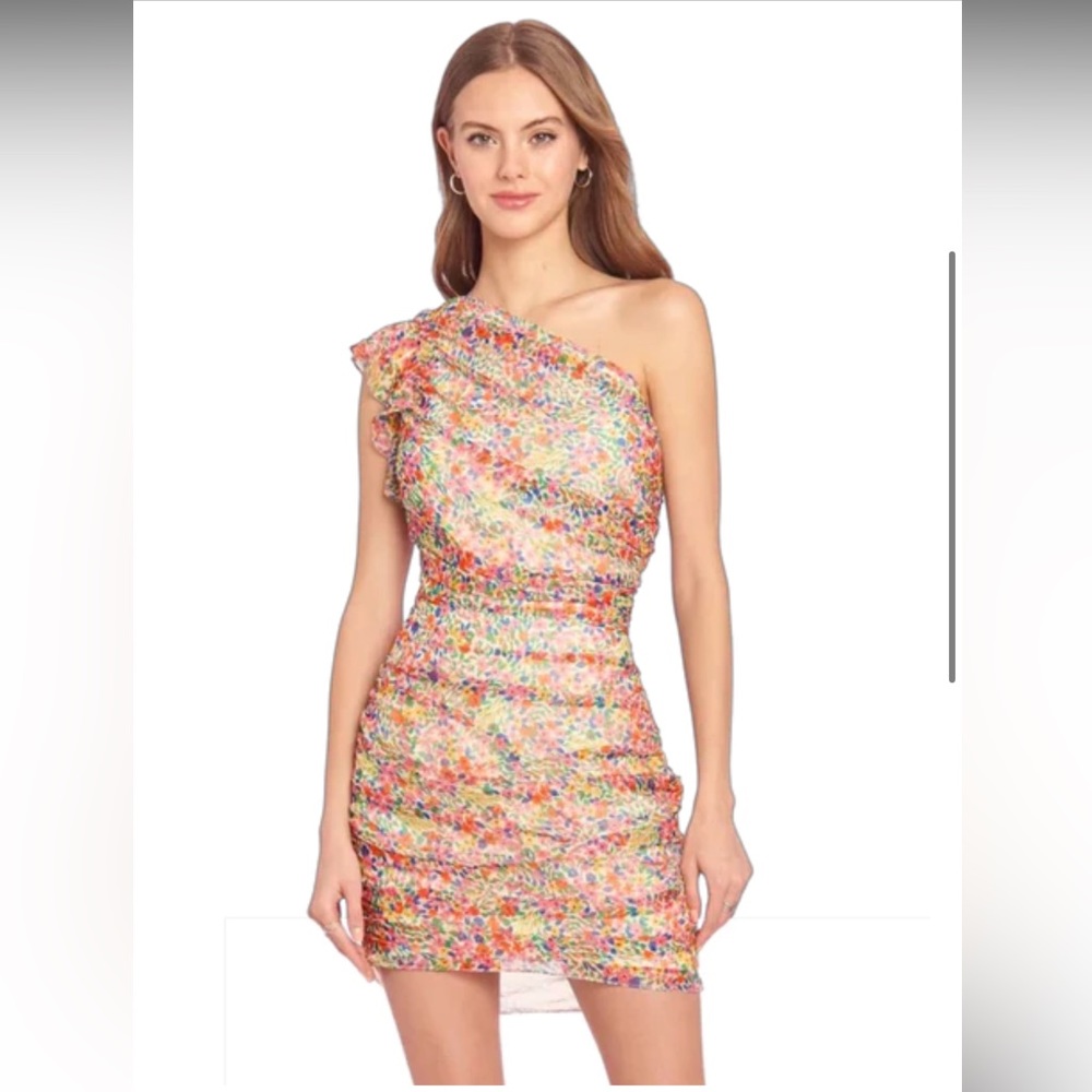 Amanda Uprichard Floral Mini